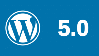 Wordpress 5 - Vorsicht beim Update!